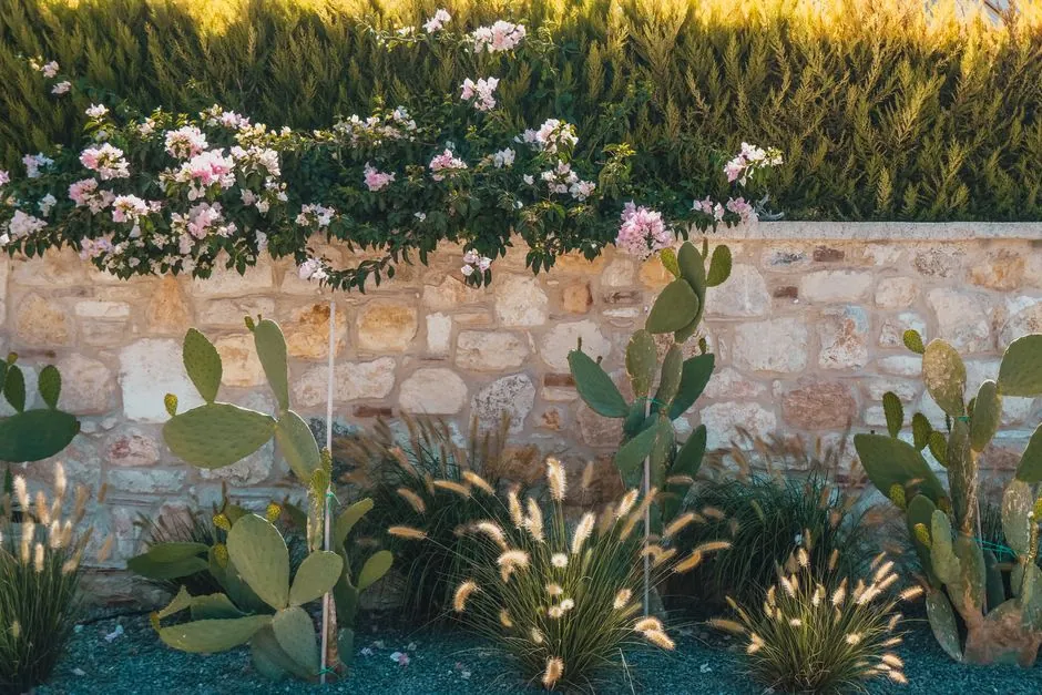 Jardin soigné réalisé par Jardin d'Eden, paysagiste à Béziers