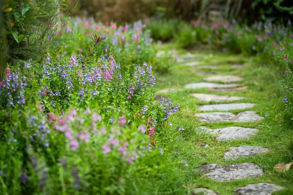 Allée de jardin avec dalles naturelles