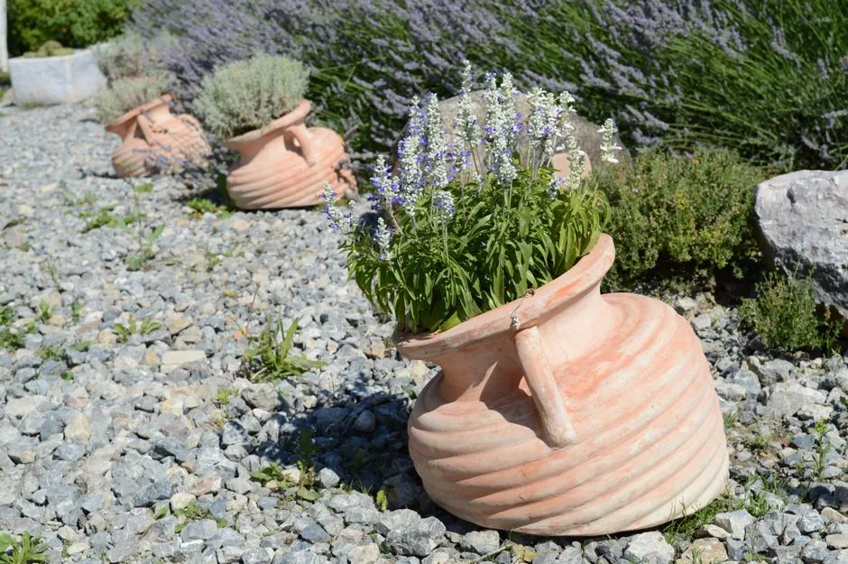 Jardin méditerranéen aménagé à Béziers par Jardin d'Eden